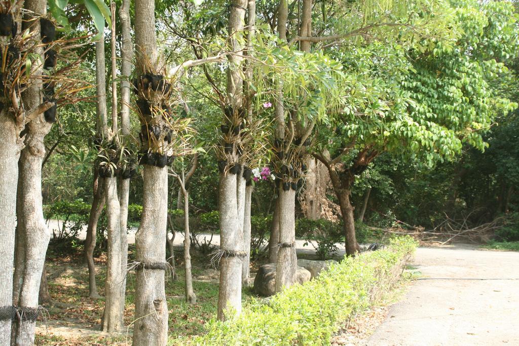 Butterfly B&B Manzhou ภายนอก รูปภาพ